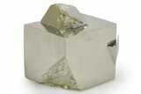 Shiny, Natural Pyrite Cube Cluster - Navajun, Spain #347330-1